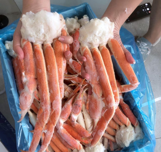 CHÂN CUA TUYẾT